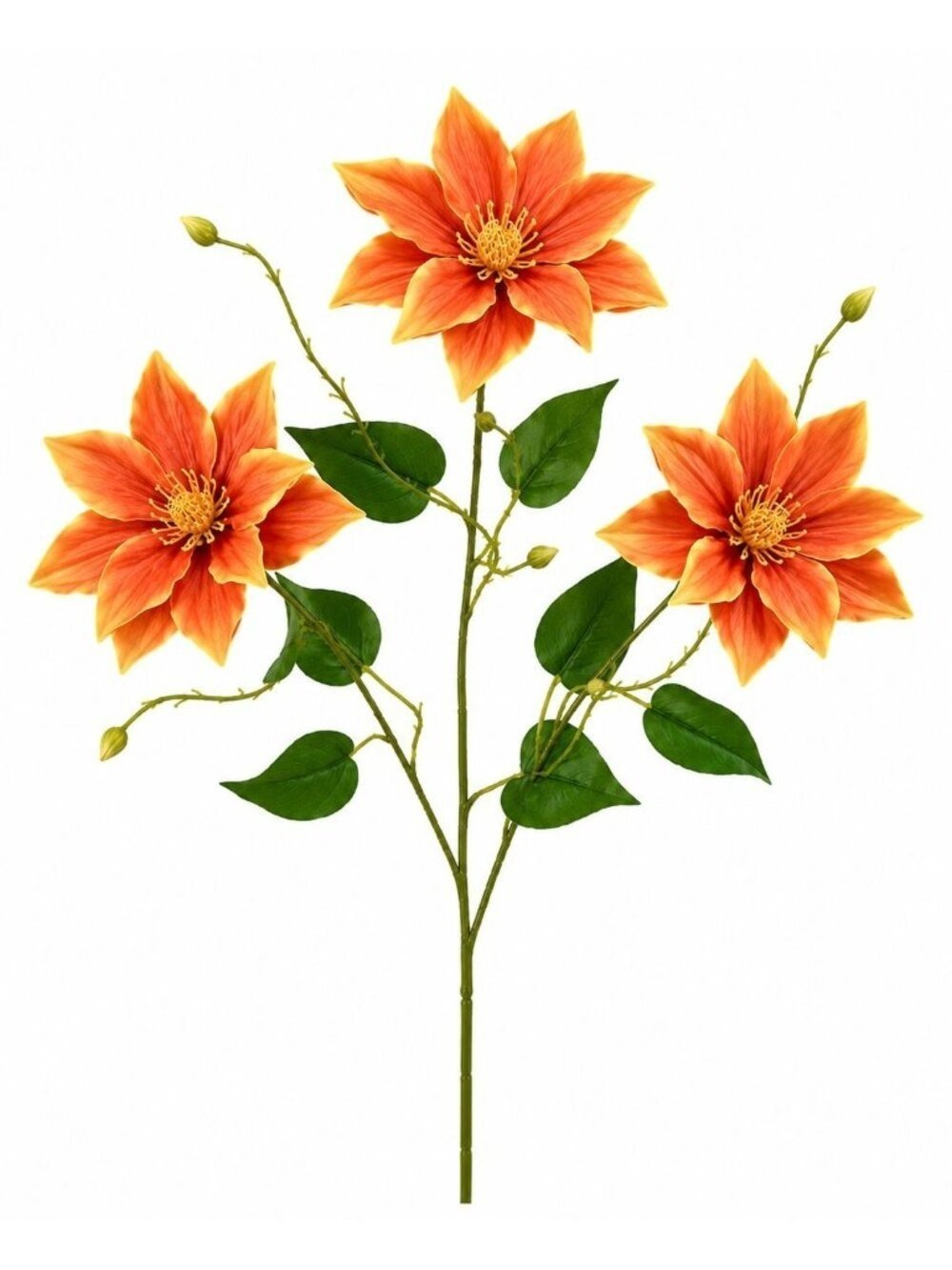 Orange Clematis Stem Floral Decor Farmhouse